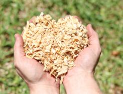 Mini flake wood shavings held in cupped hands